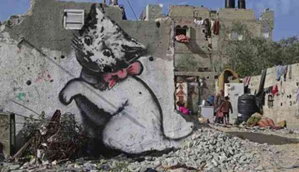 Banksy - gattino a Gaza