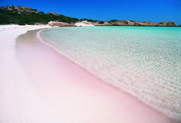 Spiaggia Rosa - Isola di Budelli (OT) Sardegna, Italia